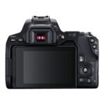 Canon EOS 250D (18-55MM Lens Kit) - Image 2