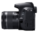 Canon EOS 850D (EF-S18-55mm f/4-5.6 IS STM) - Image 3